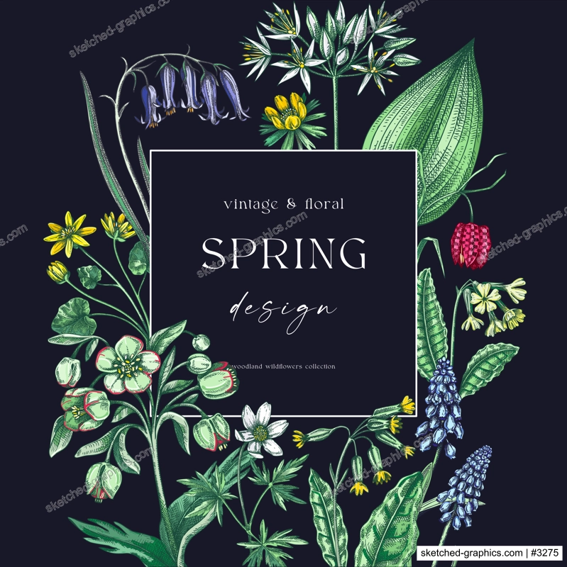 Spring wreath design. Wildflower sketches Floral cards, wedding invitations, wild flower background. Hand-drawn vector illustration, NOT AI-generated