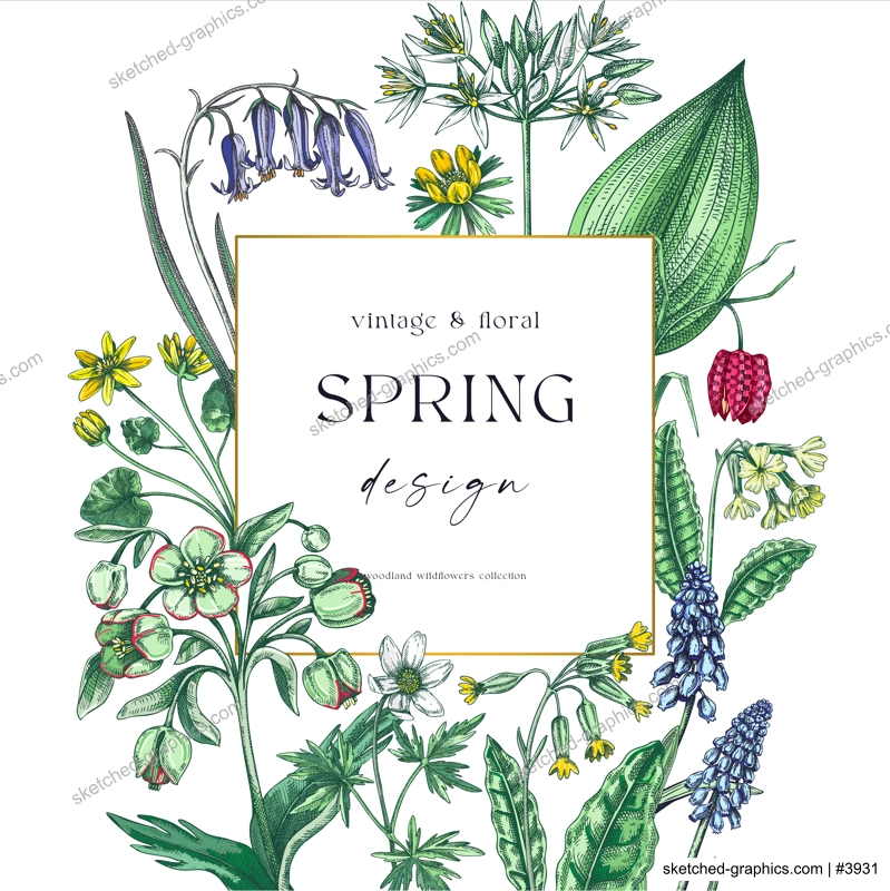 Spring wreath design. Wildflower sketches Floral cards, wedding invitations, wild flower background. Hand-drawn vector illustration, NOT AI-generated