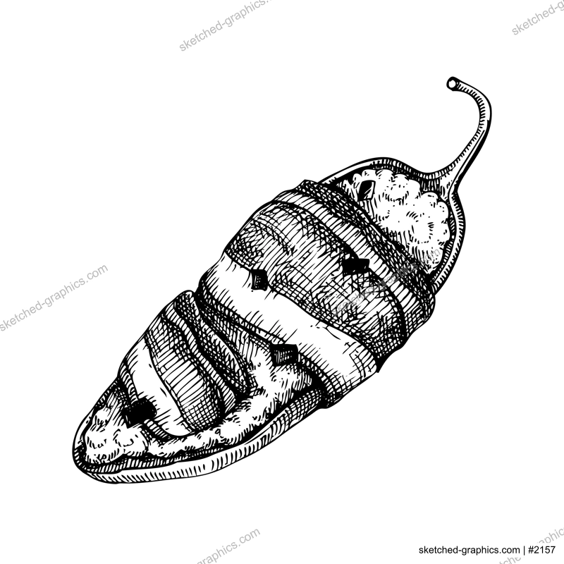 Stuffed jalapeno chili pepper sketches. Hot spices, vegetarian, healthy food hand drawn vector illustration. Mexican cuisine menu design elements. Mexican restaurant food dishes.