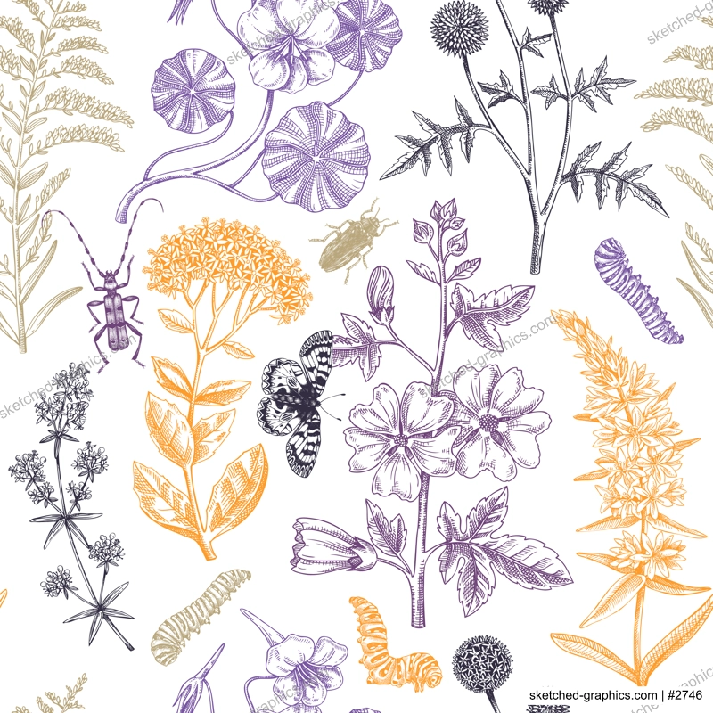 Hand drawn summer background. Garden flowering plants with insects design. Floral seamless pattern. Botanical illustrations for textile, fabric, packaging. Hibiscus, mallow, primrose, thistle sketches