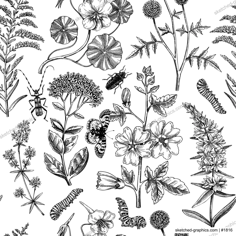 Hand drawn summer background. Garden flowering plants with insects design. Floral seamless pattern. Botanical illustrations for textile, fabric, packaging. Hibiscus, mallow, primrose, thistle sketches