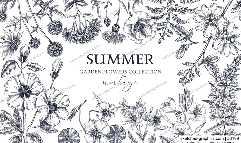 Hand drawn summer background. Garden flowers frame design in sketch style. Vintage botanical illustrations isolated on white. Floral banner for prints, cards, posters