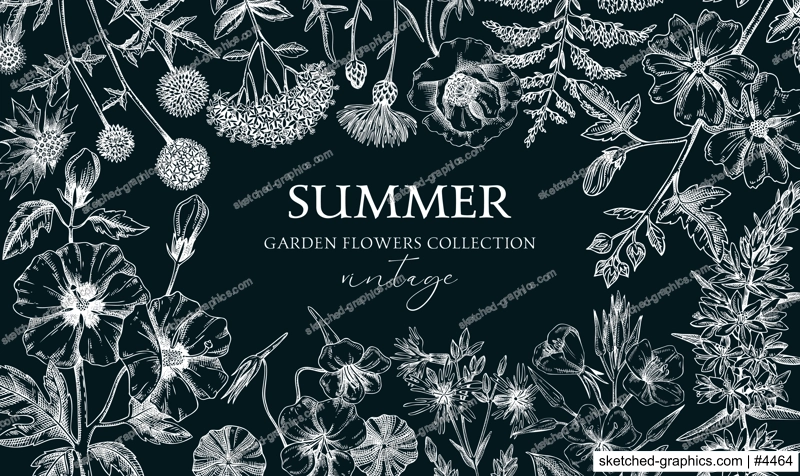 Hand drawn summer background. Garden flowers frame design in sketch style. Botanical illustrations on chalkboard. Floral banner for prints, cards, posters
