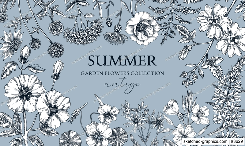 Hand drawn summer background. Garden flowers frame design in sketch style. Botanical illustrations isolated on white background. Floral banner for prints, cards, posters