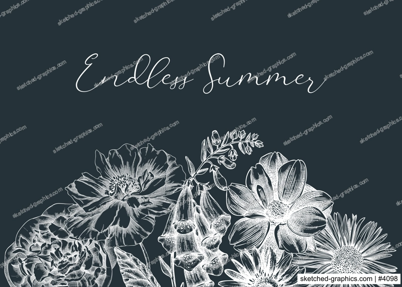 Summer flowers borders in vintage style. Hand-sketched garden plants design on chalkboard. For greeting cards, wedding invites, and banners. Hand-drawn botanical illustration with floral sketches.