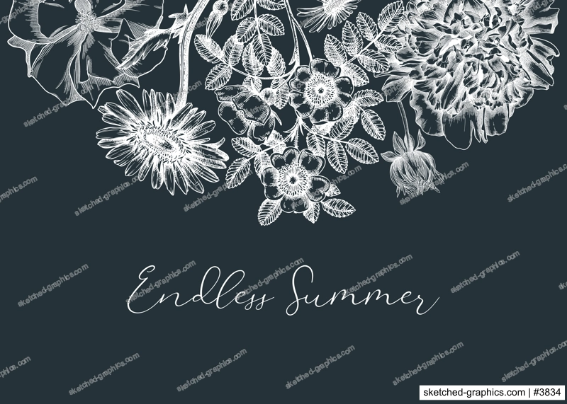 Summer flowers borders in vintage style. Hand-sketched garden plants design on chalkboard. For greeting cards, wedding invites, and banners. Hand-drawn botanical illustration with floral sketches.