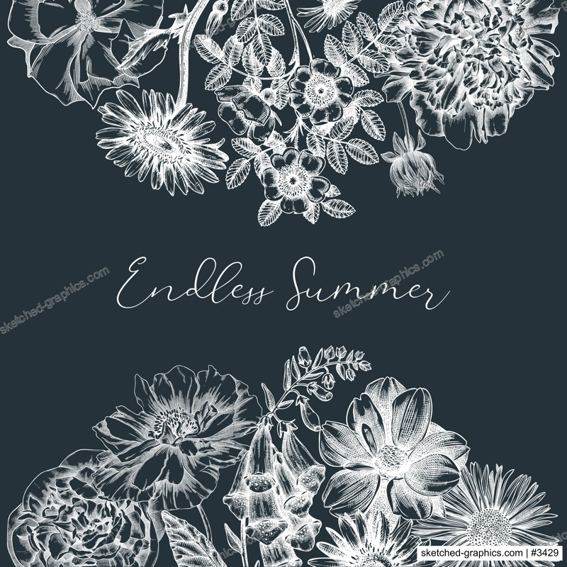 Summer flowers card on chalkboard. Hand-sketched garden plants frame design. For greeting cards, wedding invites, and floral banners. Hand-drawn botanical illustration with floral sketches.