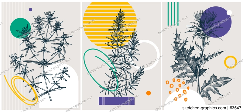 Collage style summer flowers vector illustration. Hand-sketched floral banner. Trendy design with botanical, geometric shapes, and abstract elements. For print, poster, card, social media, wall art.