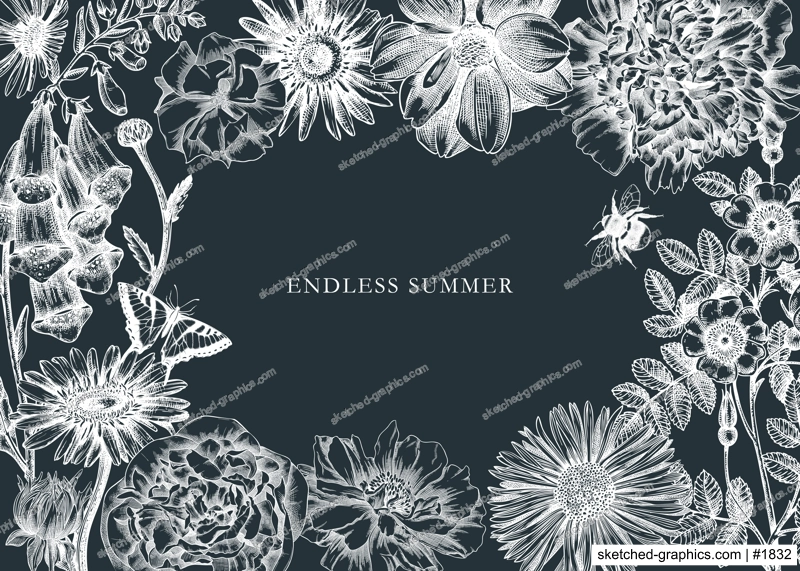 Summer flowers frame on chalkboard. Hand-sketched garden plants in vintage style. Perfect for greeting cards, banners, invitation. Vector botanical illustration with flower outlines.