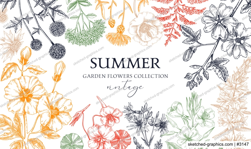 Hand drawn summer background. Garden flowers frame design in sketch style. Vinatge botanical illustration in color. Floral banner for prints, cards, posters