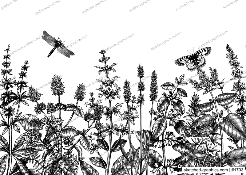 Hand sketched summer herbs background. Mints and balms plants design. Vintage herbs, wild flowers, weeds hand drawings. Herbal tea ingredients template. Perfect for recipe, cosmetics, packaging.