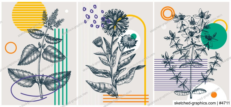 Collage-style summer herbs vector illustration. Hand-sketched floral banner set. Trendy design with botanical elements and geometric shapes. Elegant herbs for sketch print, poster, card, and wall art.