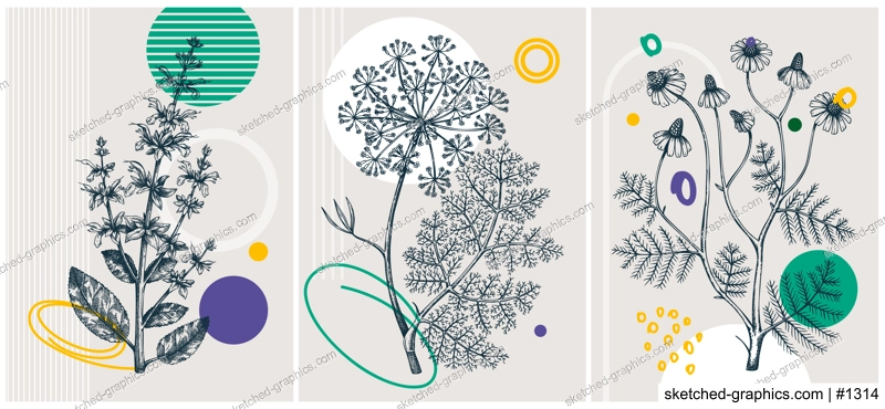 Collage-style summer herbs vector illustration. Hand-sketched floral banner set. Trendy design with botanical elements and geometric shapes. Elegant herbs for sketch print, poster, card, and wall art.