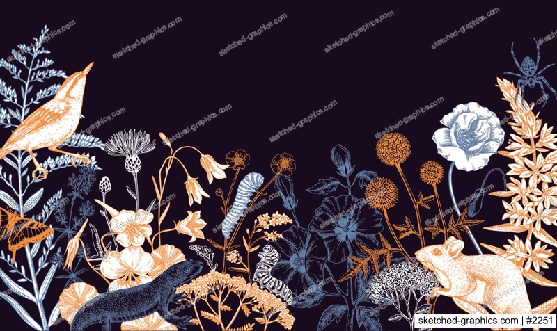 Summer design in sketched style. Botanical drawings of wildflowers, herbs, meadows, berries, animals and birds. Vintage wildlife hand-drawn illustrations. Field plants background in color