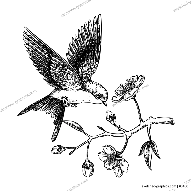 Swallow bird sketch. Cherry blossom hand drawn vector illustration. Sakura flowers drawing. Spring design. NOT AI generated.