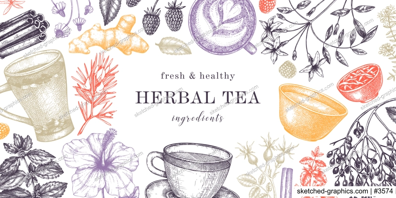 Hand drawn tea drinks ingredients banner in color. Vector sketches of hot beverage cups, herbs, flowers, fruits background. Herbal tea design for cafe or restaurant menu, banners, web.