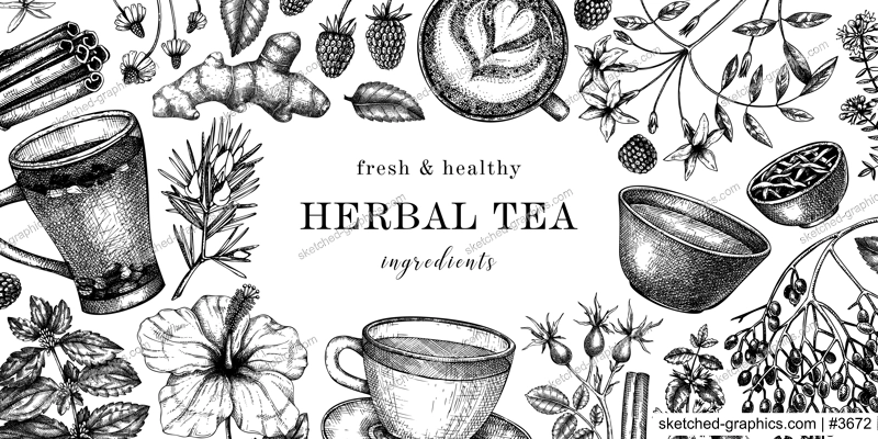 Hand drawn tea drinks ingredients banner in color. Vector sketches of hot beverage cups, herbs, flowers, fruits vintage background. Herbal tea design for cafe or restaurant menu, banners, web. 