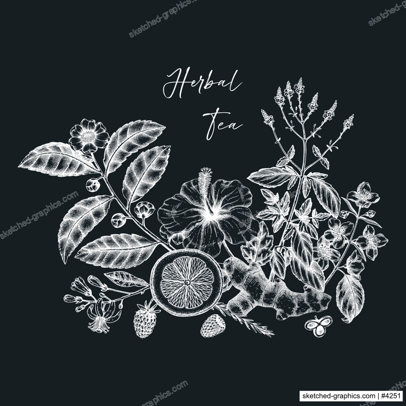 Hand-sketched tea drinks vintage illustration on chalkboard. Vector sketches of hot beverage cups, dried leaves, jasmine blossoms. Popular tea drawings for a card, an invitation, or café menu design