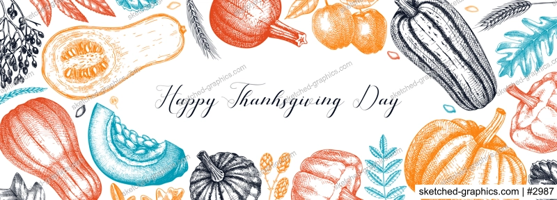 Thanksgiving background. Pumpkins sketches in color.  Autumn plants and fruit drawings. Vector vegetables, butternut squash, marrow, pumpkin sketches. Fall banner design. Harvest festival.