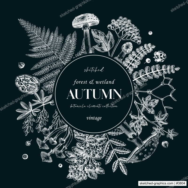 Autumn card or invitation on chalkboard. Thanksgiving wreath design. Decorative wreath with realistic fall leaves, mushrooms, ferns, forest plants sketches. Hand drawn vector illustration