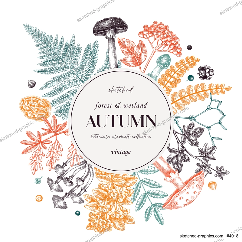 Autumn card or invitation in color. Thanksgiving wreath design. Decorative wreath with realistic  fall leaves, mushrooms, ferns, forest plants sketches. Hand drawn vector illustration