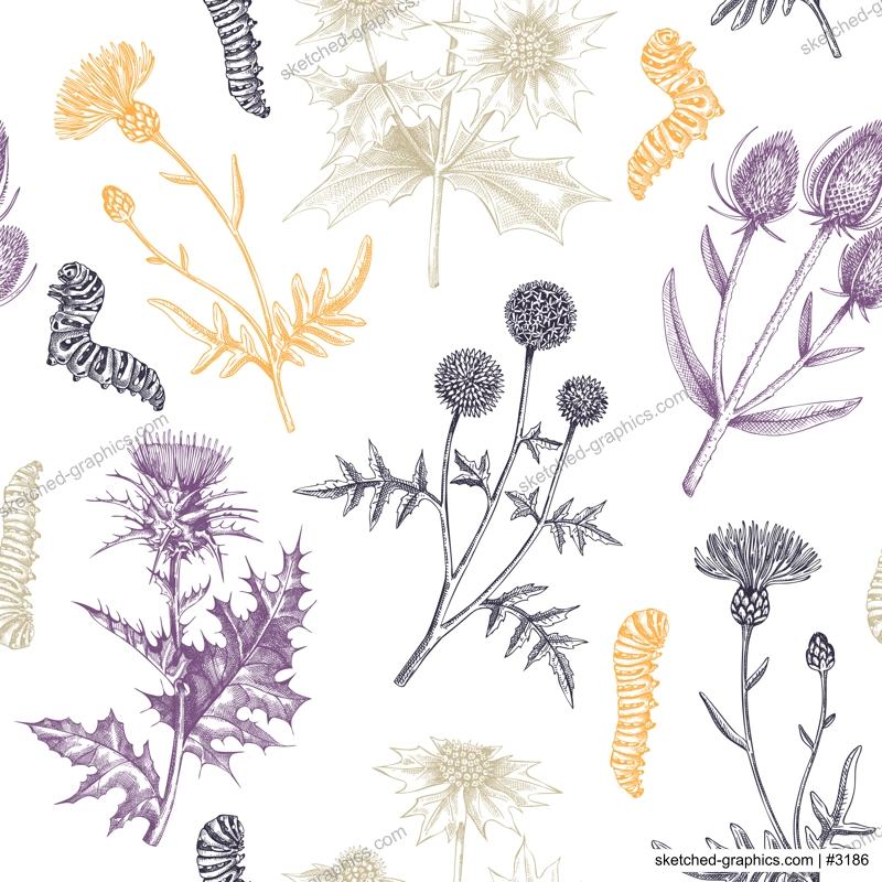 Summer background. Decorative thistle plants texture in sketch style. Hand drawn wildflowers seamless pattern. Dried plants drawing floral design for textile, fabric, wrapping paper, packaging 