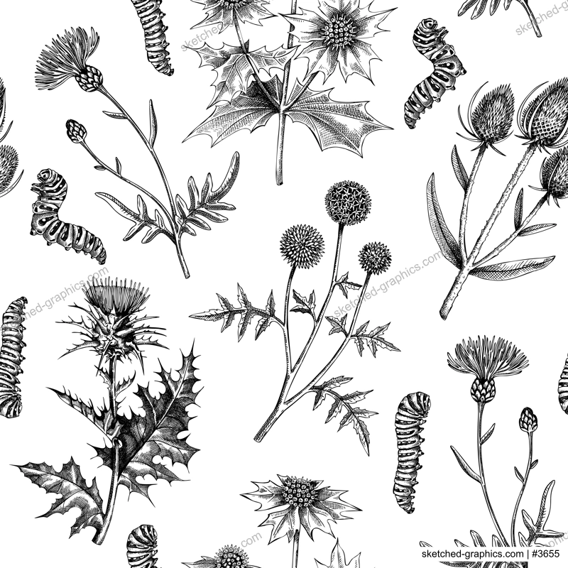 Summer background. Decorative thistle plants texture in sketch style. Hand drawn wildflowers seamless pattern. Coast plants drawing floral design for textile, fabric, wrapping paper, packaging 