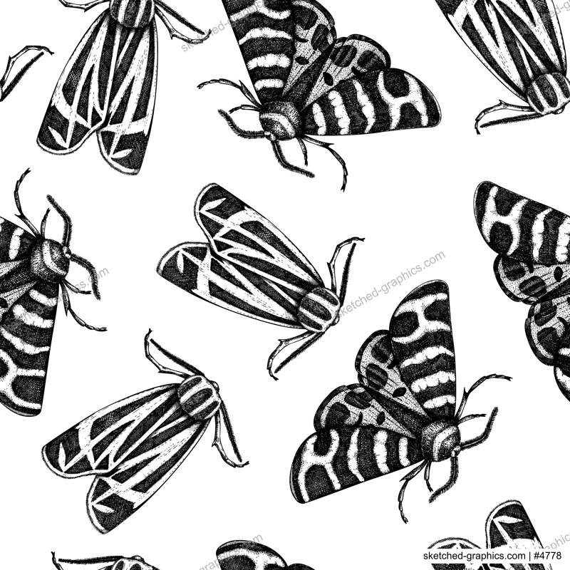 Tiger moth seamless pattern. Hand-drawn vector illustration. Butterfly sketch. Insect vintage background.
