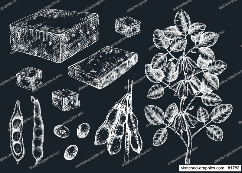 Tofu sketches collection on chalkboard. Sketched vegan vector food illustrations. Traditional Asian food ingredients. Tofu, soybeans, soya plant for packaging, menu, recipe, and product design