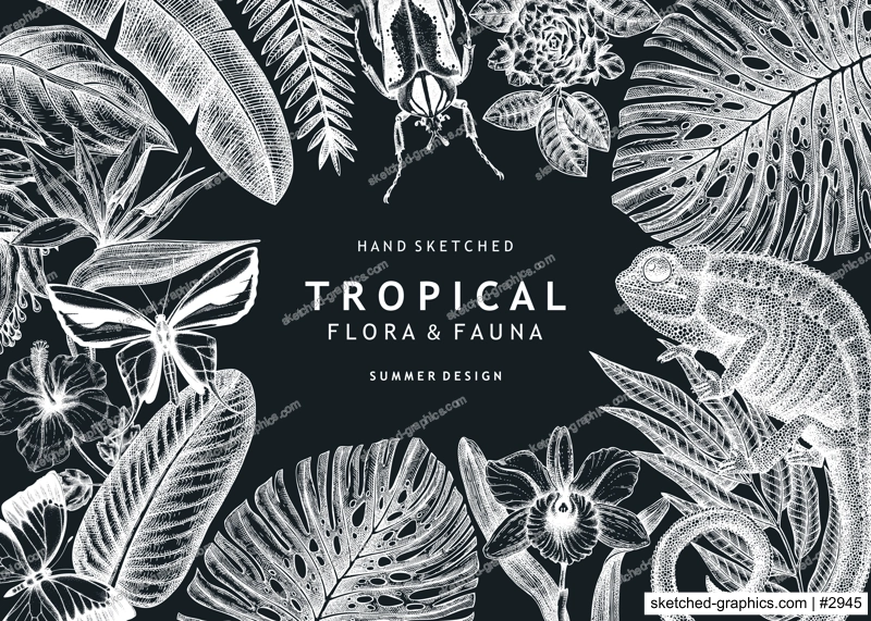 Tropical banner design on chalkboard. Vector frame with hand drawn tropical plants, exotic flowers, palm leaves, insects and chameleon. Vintage wildlife background with tropical plants and animals.
