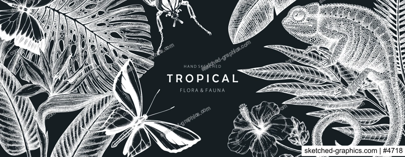 Tropical banner design on chalkboard. Vector frame with hand drawn tropical plants, exotic flowers, palm leaves, insects and chameleon. Vintage wildlife background with tropical plants and animals.