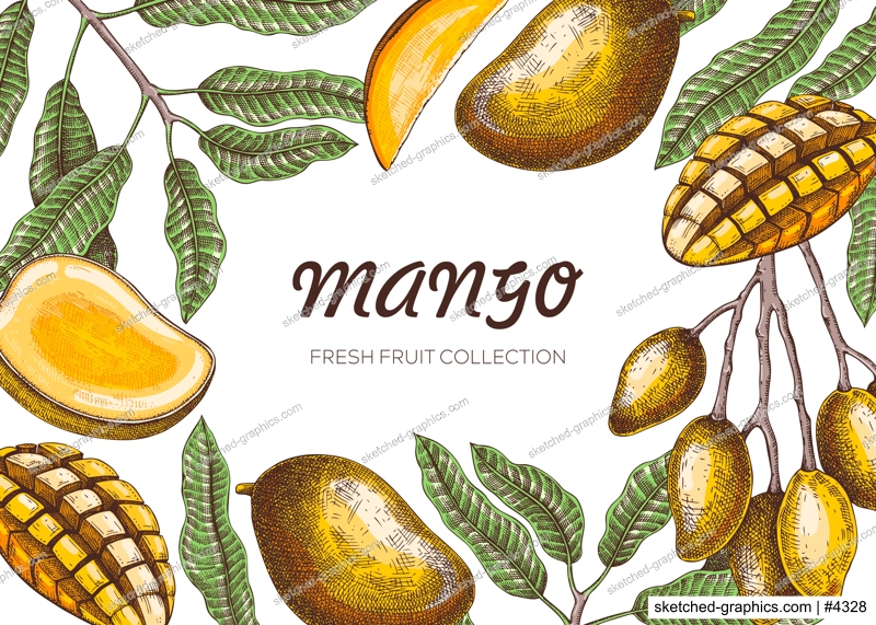 Tropical fruit frame design. Mixed media summer background. Mango fruit sketch, hand-drawn vector illustration. Juice packaging, exotic plant banner template. NOT AI generated