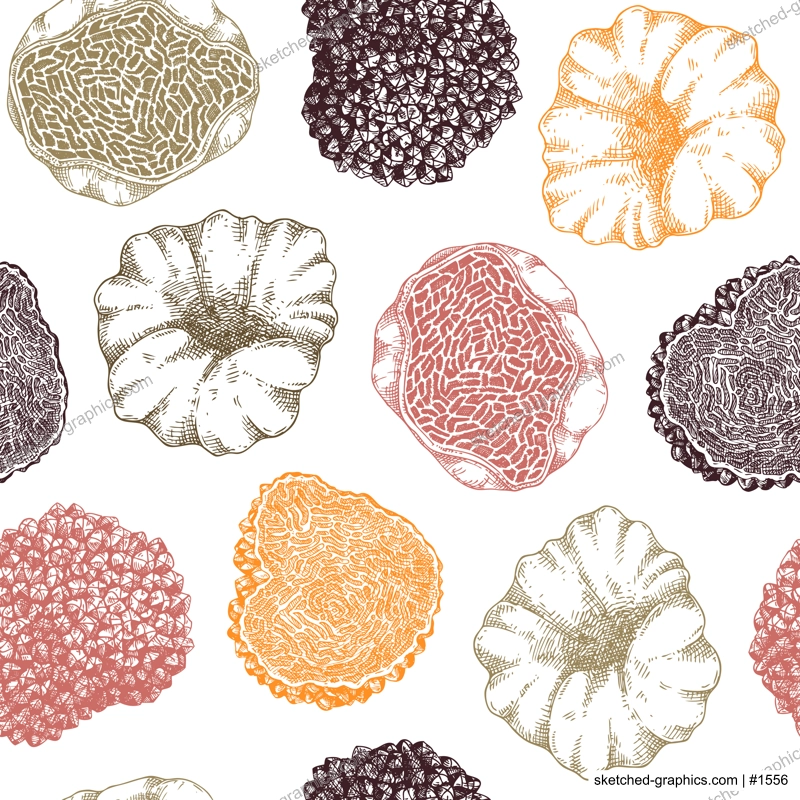 Truffle seamless pattern in color.  Edible mushroom background. Forest fungus sketch. Fungal protein, mycoprotein source. Healthy food and plant-based meat substitutes texture design
