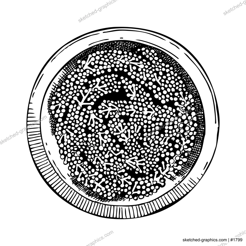 Hand drawn bowl with Umi budo salad. Green caviar sketch. Edible seaweed meal  vector drawing isolated on white background. Umibudo algae healthy food illustration. Japanese cuisine restaurant menu