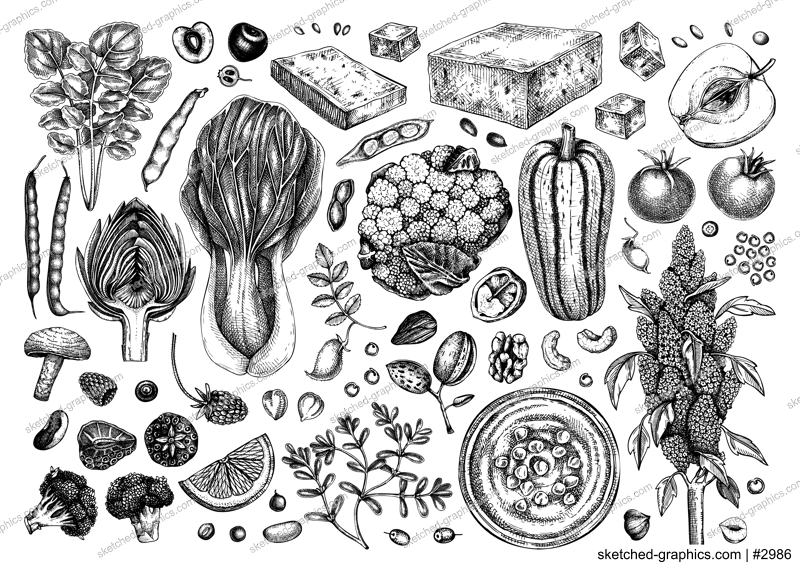 Vegan food illustrations set. Healthy food illustrations. Hand-drawn vegan meals and ingredients for menu, recipe, packaging design. Vegan food, nuts, seeds, fruits, veggies, tofu sketch