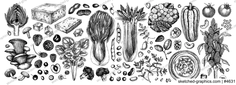 Vegan food illustrations set. Healthy food illustrations collection. Hand drawn vegan meals and ingredients for menu, recipe, packaging design. Vegan food, nuts, seeds, fruits, veggies, tofu sketches