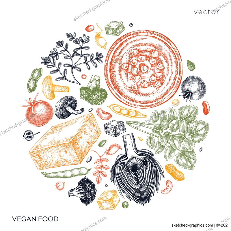 Vegan food sketched card. Healthy food banner template. Middle eastern cuisine illustration. Hand-drawn vegan meals and ingredients for menu, recipe, and packaging design. Vegan food sketches in color