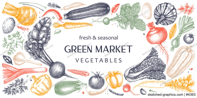 Hand-drawn vegetables vector banner design. Hand-sketched healthy food illustration. Vintage edible plants hand-drawings. Kitchen vegetables frame template in sketched style. For menu or banners