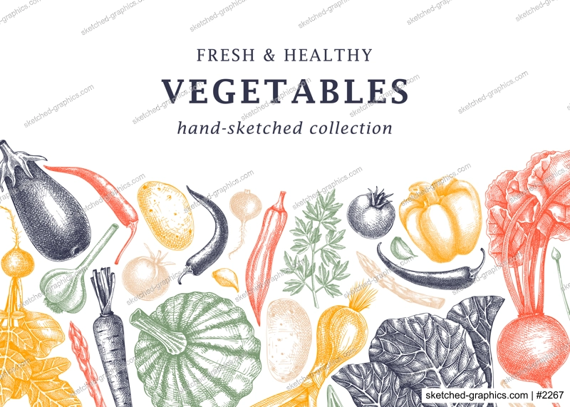 Hand-sketched vegetables design. Hand-drawn tomatoes, squashes, peppers, potatoes, asparagus and other vegetables. Healthy food banner for menu, restaurant, packaging, labels. Botanical illustration 