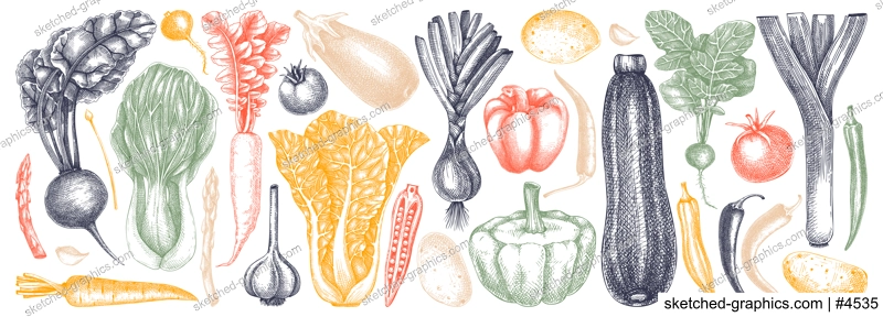 Hand-sketched Vegetable collection. Vector set of hand drawn tomatoes, squashes peppers, asparagus, potatoes, asparagus drawings. Vintage plants elements in engraved style. Vegetables outlines set.