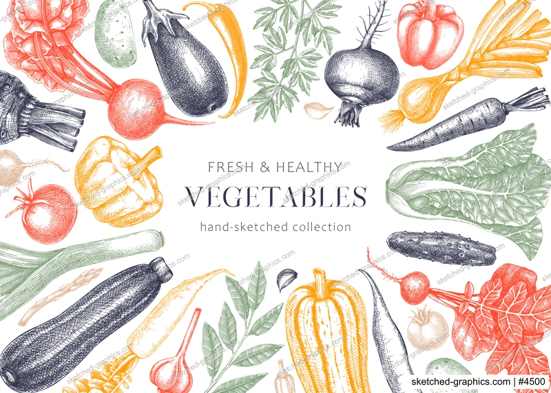 Hand-drawn vegetables vector frame design. Hand-sketched healthy food illustration. Vintage edible plants hand-drawing. Kitchen vegetables banner template in color. For menu or banners