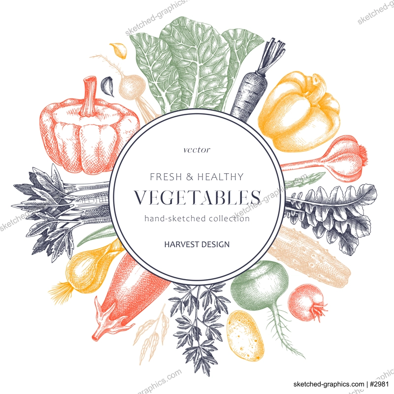 Hand-sketched Vegetable frame in color. Hand-drawn tomatoes, squashes, peppers, potatoes, asparagus and other vegetables drawings. Healthy food background for menu, recipe, restaurant, packaging