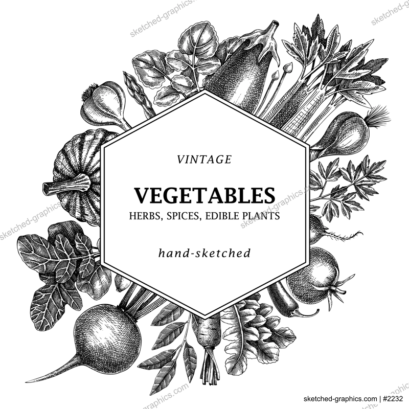 Hand-sketched Vegetable frame design. Hand-drawn tomatoes, squashes, peppers, potatoes, asparagus and other vegetables card. Healthy food template for menu, recipe, restaurant, packaging