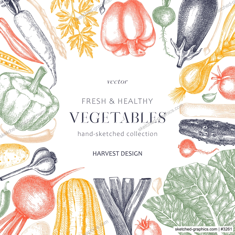 Hand-sketched Vegetable frame design in color. Hand-drawn tomatoes, squashes, peppers, potatoes, asparagus and other vegetables card. Healthy food template for menu, recipe, restaurant, packaging