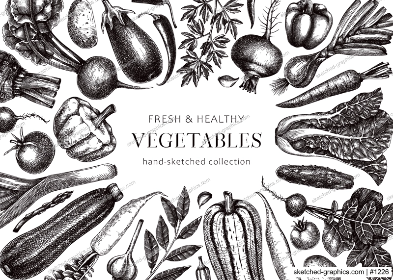 Hand-drawn vegetables vector frame design. Hand-sketched healthy food illustration. Vintage edible plants hand-drawing. Kitchen vegetables banner template in sketched style. For menu or banners