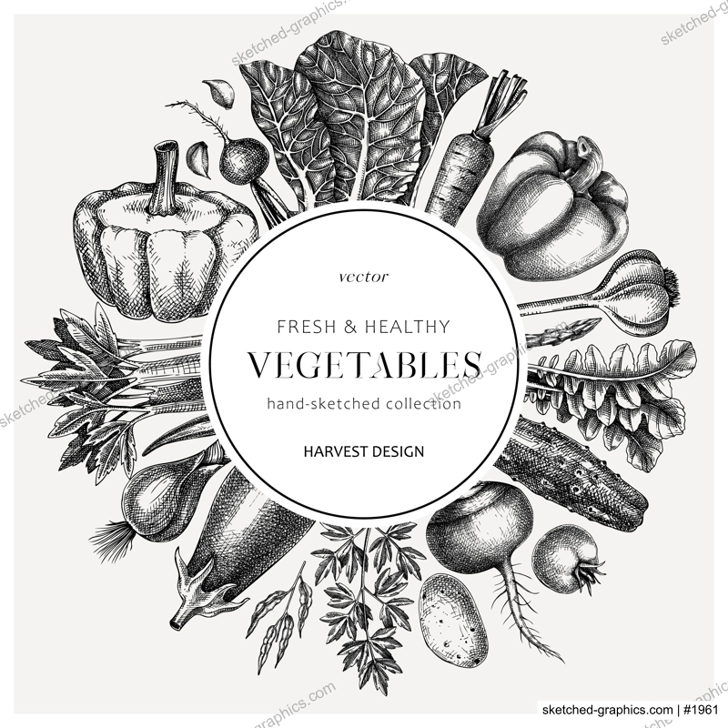 Hand-sketched Vegetable frame. Hand-drawn tomatoes, squashes, peppers, potatoes, asparagus and other vegetables design. Healthy food background for menu, recipe, restaurant, packaging