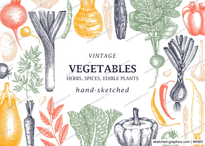 Hand-sketched Vegetable vintage frame. Hand-drawn tomatoes, squashes, peppers, potatoes, asparagus and other vegetables drawings. Healthy food background for menu, recipe, restaurant, packaging.