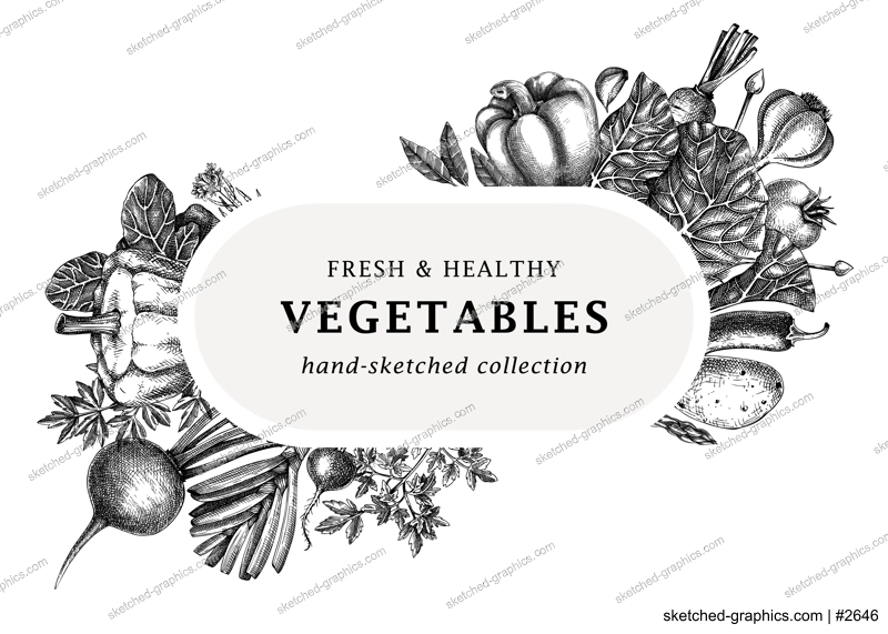 Hand-sketched vegetables design. Hand-drawn tomatoes, squashes, peppers, potatoes, asparagus and other vegetables. Healthy food banner for menu, restaurant, packaging, labels. Botanical illustration 