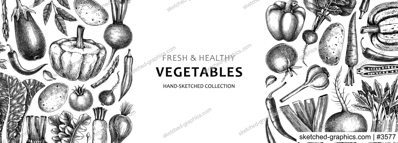 Hand-sketched vegetables design. Hand-drawn tomatoes, squashes, peppers, potatoes, asparagus and other vegetables. Healthy food banner for menu, restaurant, packaging, labels. Botanical illustration 