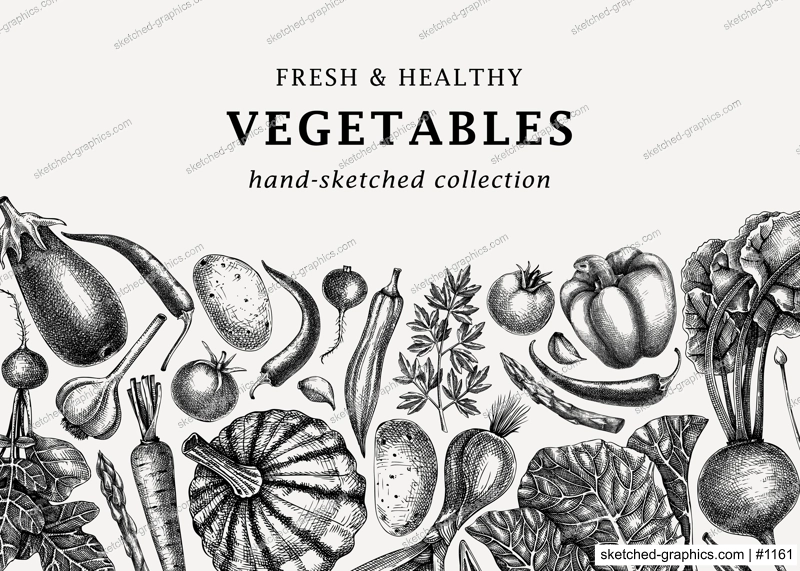 Hand-sketched vegetables design. Hand-drawn tomatoes, squashes, peppers, potatoes, asparagus and other vegetables. Healthy food banner for menu, restaurant, packaging, labels. Botanical illustration 